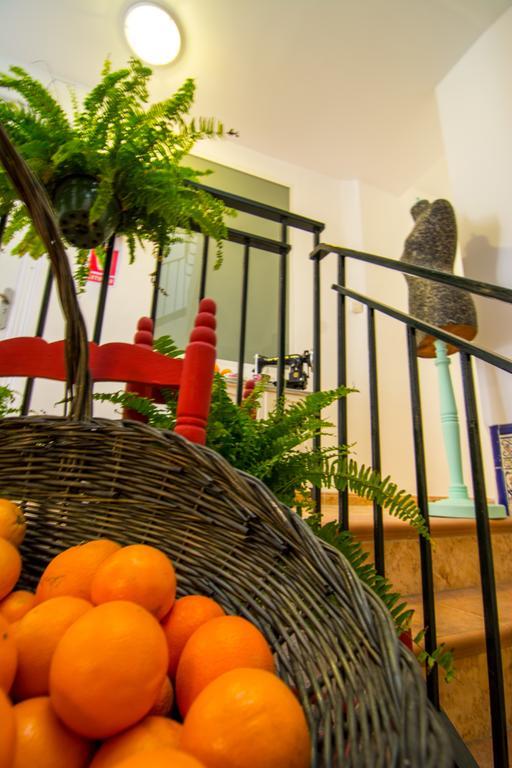 San Jose Guest House Grenada Zewnętrze zdjęcie